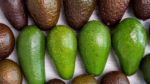 A Fruit Services Collective fejlett pushback állványrendszerrel növeli a hűtőházi kapacitást